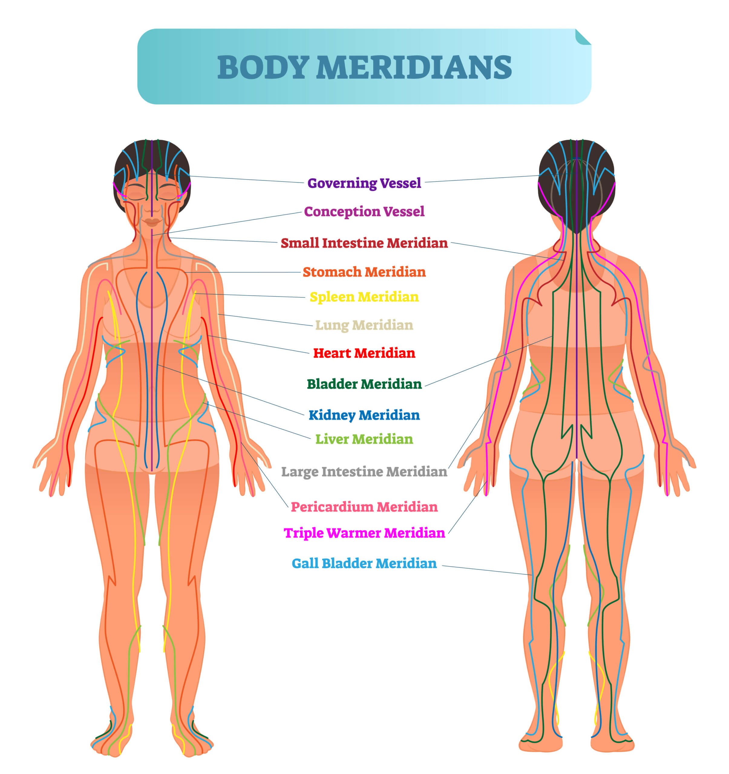 Meridians-scaled-1.jpeg